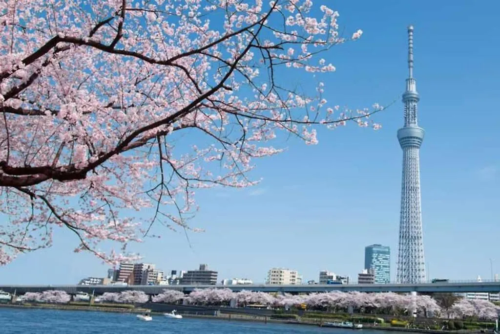 Tokyo'S Best Spot Shibuya! 3Person Room Free Wi-Fi Apartment Tokyo