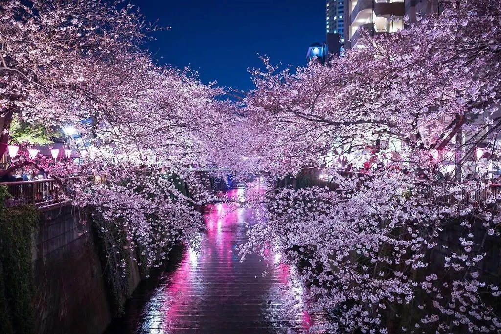 Apartment Tokyo'S Best Spot Shibuya! 3Person Room Free Wi-Fi