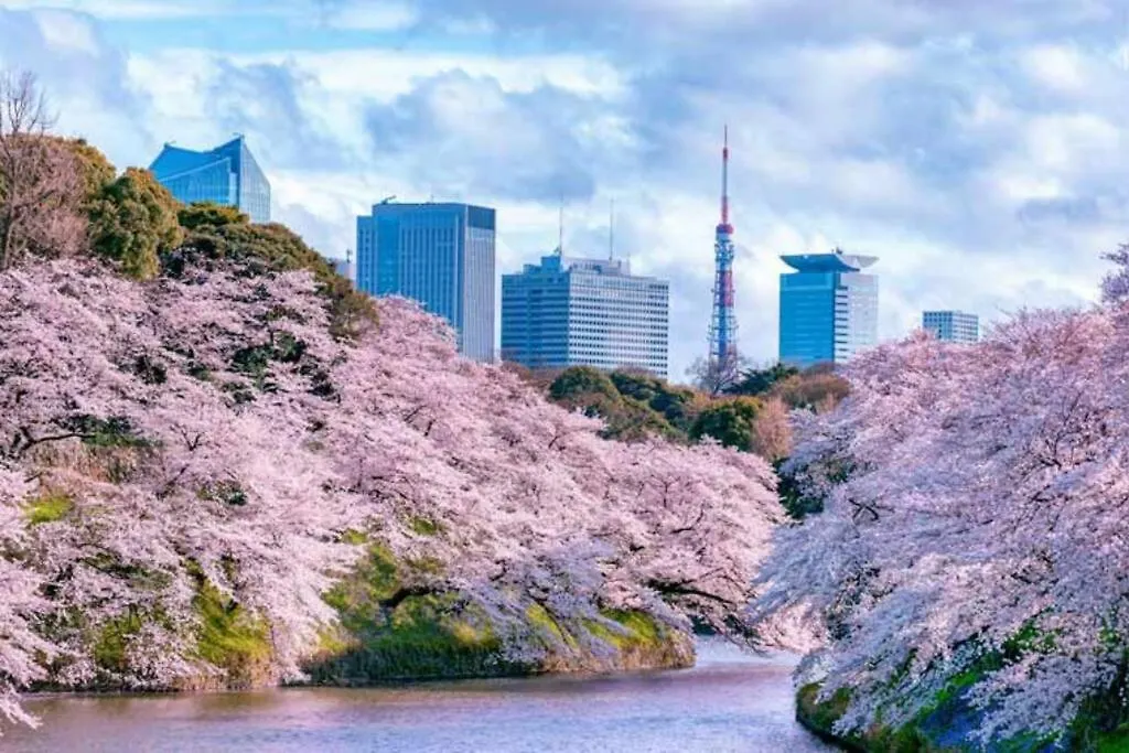 Tokyo'S Best Spot Shibuya! 3Person Room Free Wi-Fi 0*, Tokyo Japan