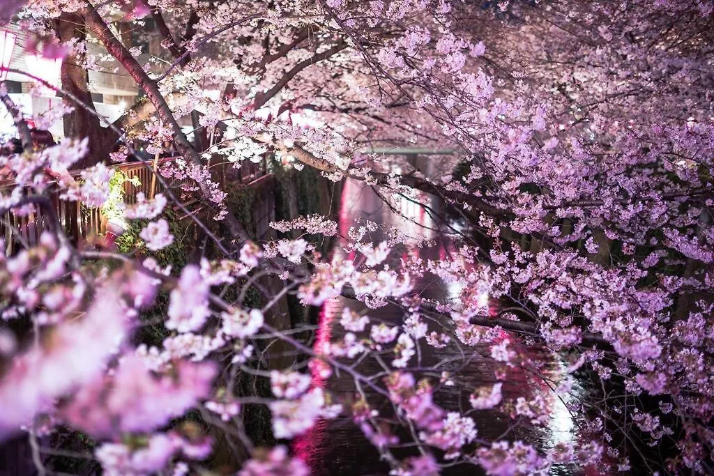 Apartment Tokyo'S Best Spot Shibuya! 3Person Room Free Wi-Fi Japan